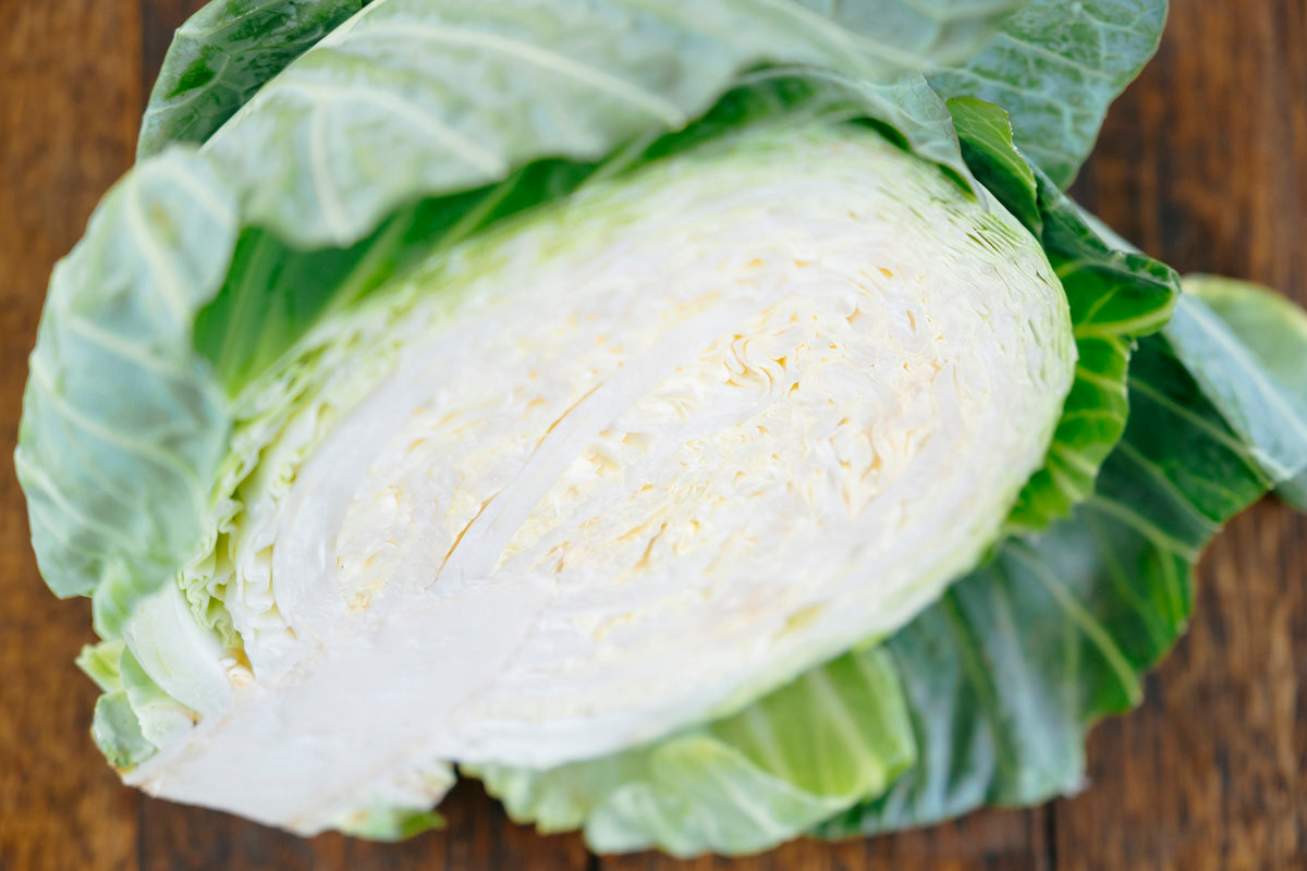 Cabbage