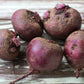 Loose Beetroot
