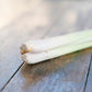Leek