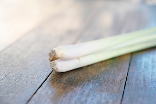 Leek