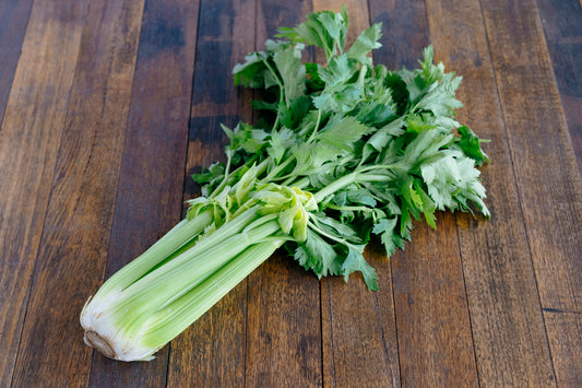 Celery