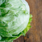 Lettuce