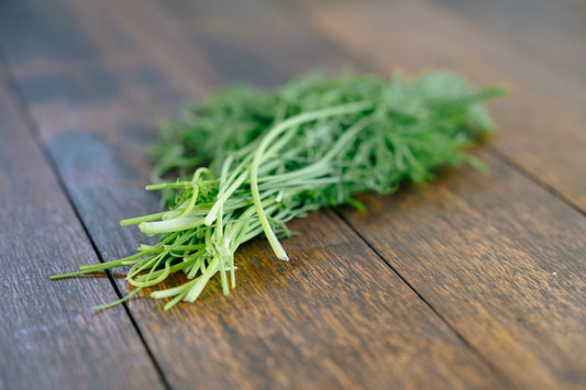 Fresh Dill