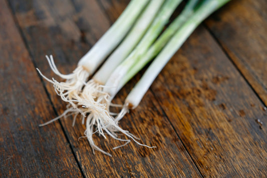 Spring Onion