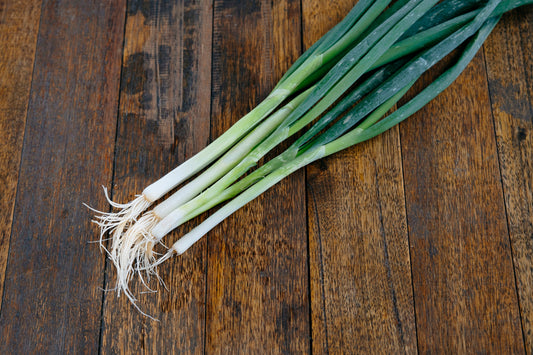 Spring Onion