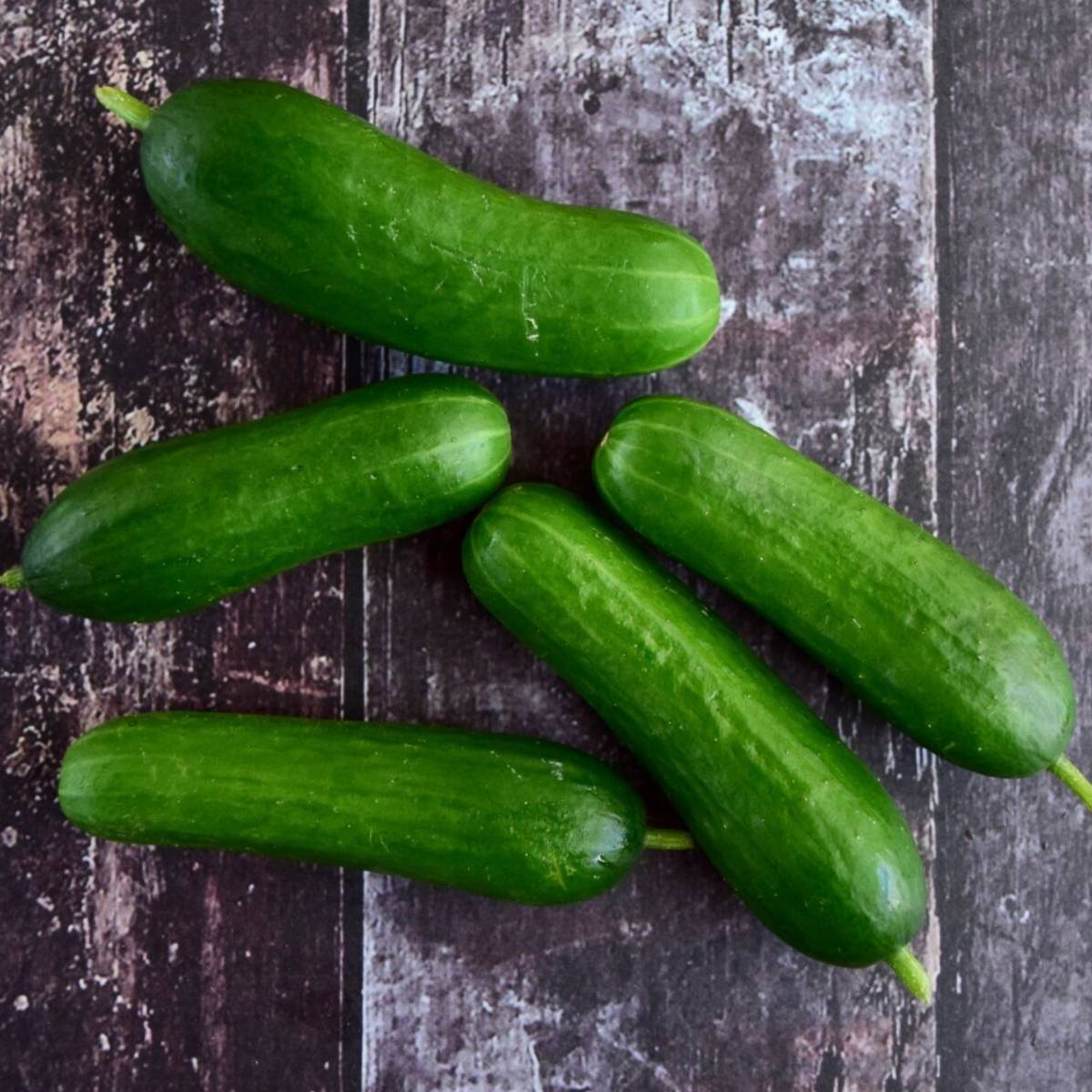 Lebanese Cucumbers