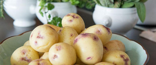 Potatoes Kestrel