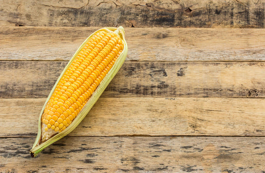 Corn